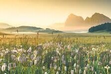 澳克竞彩足球比分直播-深度解析，澳克竞彩足球比分直播——球迷的实时观赛新体验