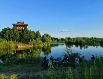 就他管足球比分-当他成为足球比分的主宰，一场关于数据与激情的深度探讨