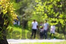足球即时捷报比分-足球即时捷报比分，绿茵场上的实时心跳